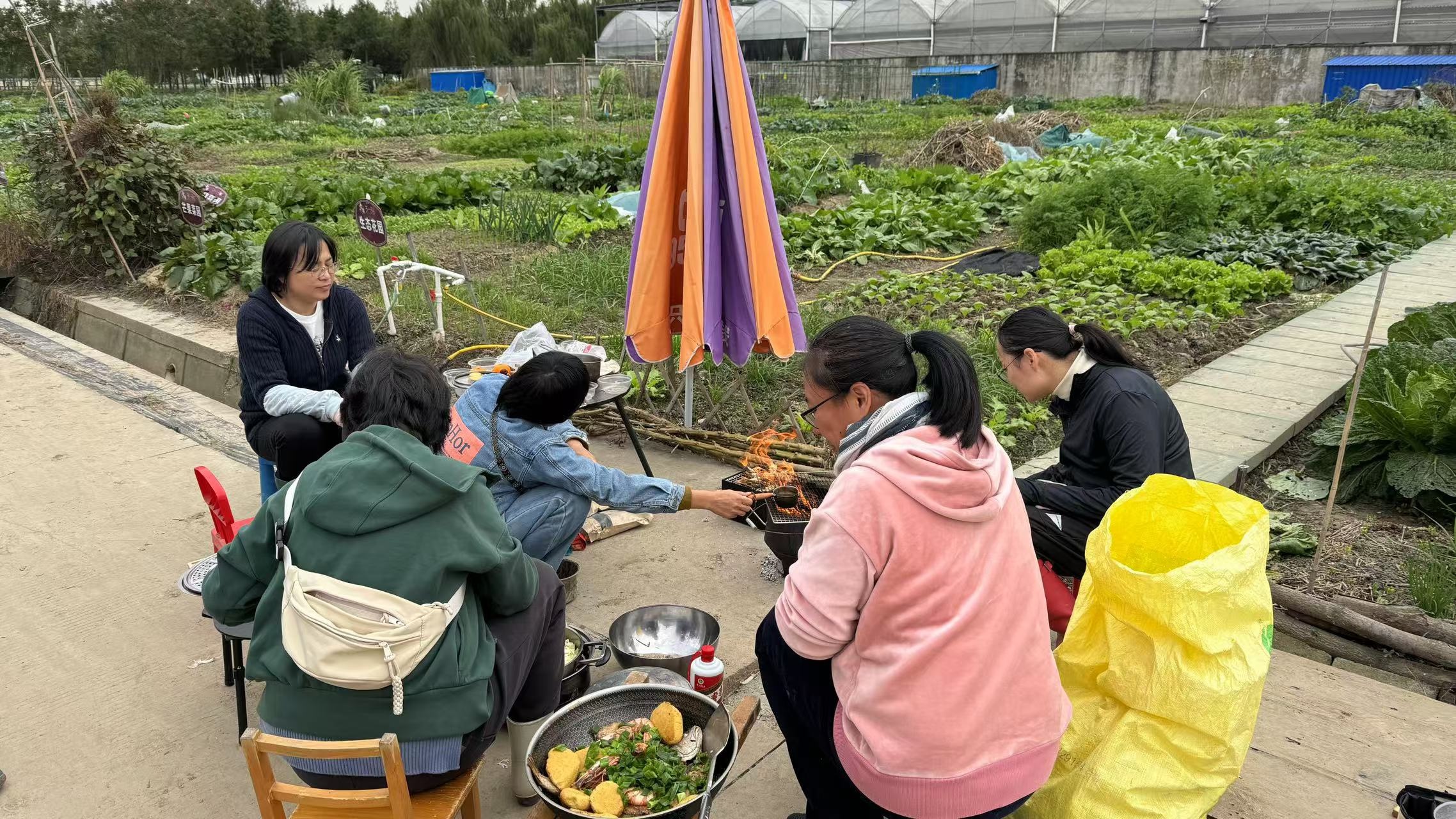 销声匿迹多年的共享菜园又在上海热起来，背后原因竟是这个？  第5张