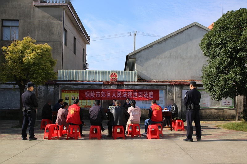 惊！一棵桦树引发两家恩怨，法官如何解心结？  第2张