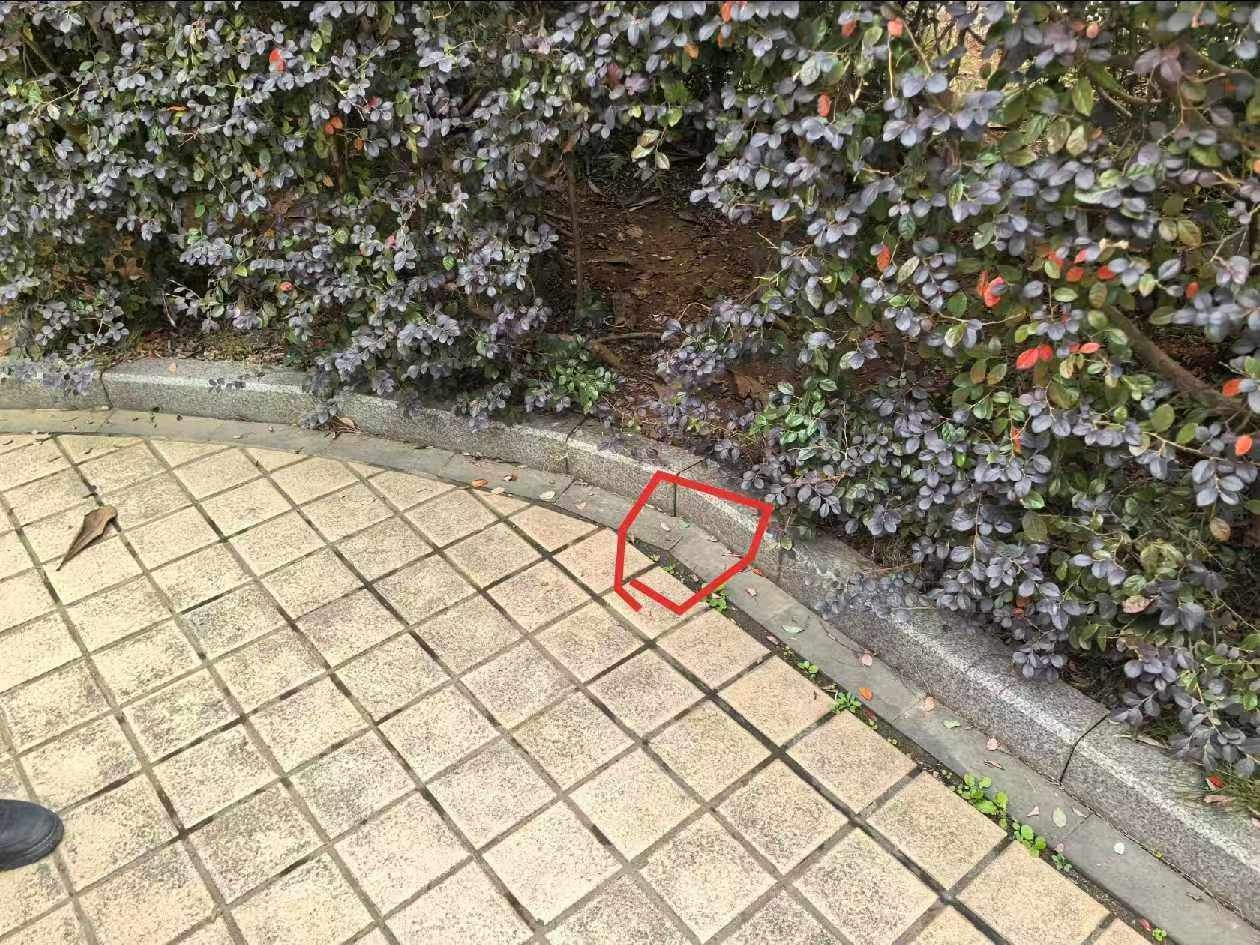 惊！孩子价值三万助听器课间丢失，民警神速寻回  第2张