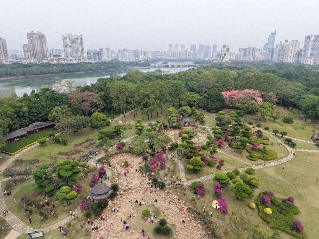 惊！海警抓获17人、大桥封闭，寒潮又来袭，你准备好了吗？  第1张