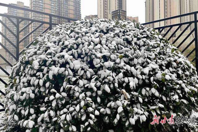甘肃多地气温将大降，寒潮将至！73个县区降水的后续影响竟是……  第2张