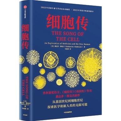 揭秘细胞与人类社会的神秘联系：从生物学到哲学的深度启示