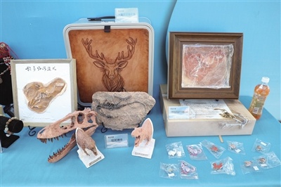 第九届中国残疾人冰雪运动季启动，热情似火的赞歌点燃全场激情  第6张