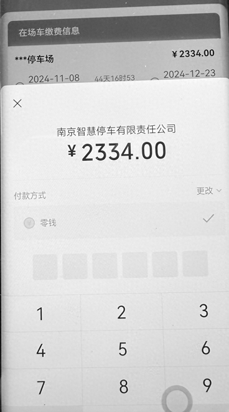 惊！南京市民停车33元竟变2334元，真相让人瞠目结舌  第1张