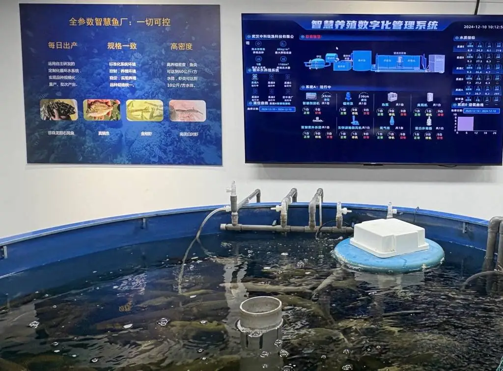 武昌：1800年历史古城如何引领新质生产力浪潮？
