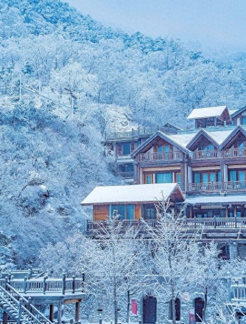 240小时免签！济南冬日泉城之旅，探寻别样风情与温暖