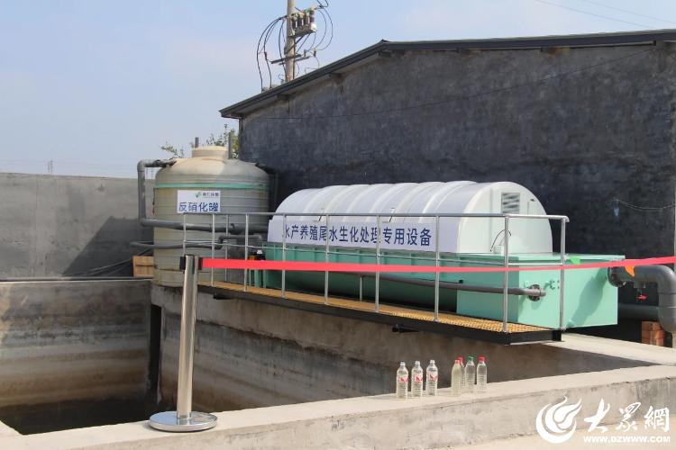 海水养殖尾水处理难题被攻克！欧仁环境实现技术突破，海洋环境迎来新希望  第3张