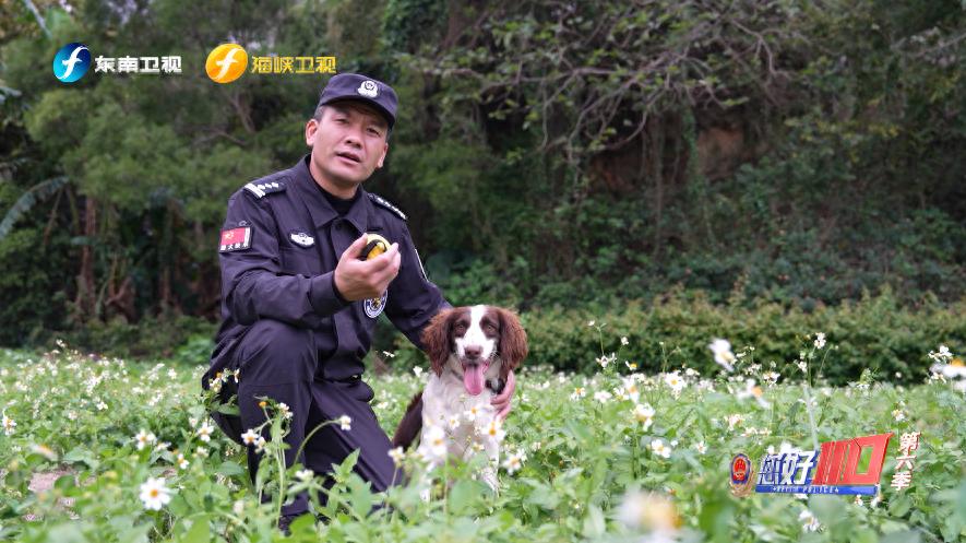 揭秘：警犬如何在原始山林中找到走失老人？全国最美基层民警何士涛的惊险救援故事  第1张