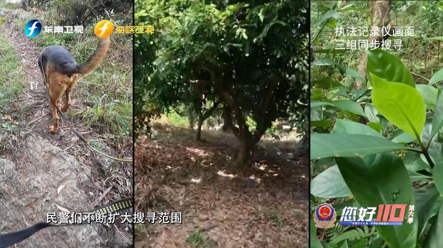 揭秘：警犬如何在原始山林中找到走失老人？全国最美基层民警何士涛的惊险救援故事  第4张