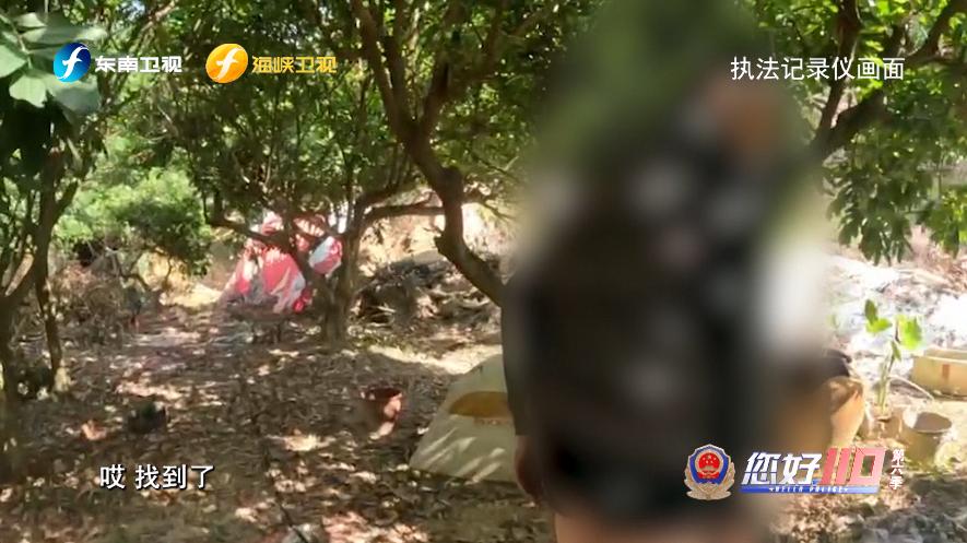 揭秘：警犬如何在原始山林中找到走失老人？全国最美基层民警何士涛的惊险救援故事  第5张