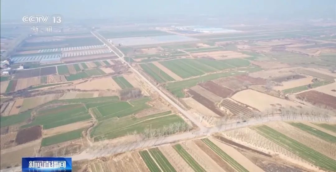 5500年前罕见彩陶鱼纹盆出土，揭秘仰韶文化的神秘面纱  第4张