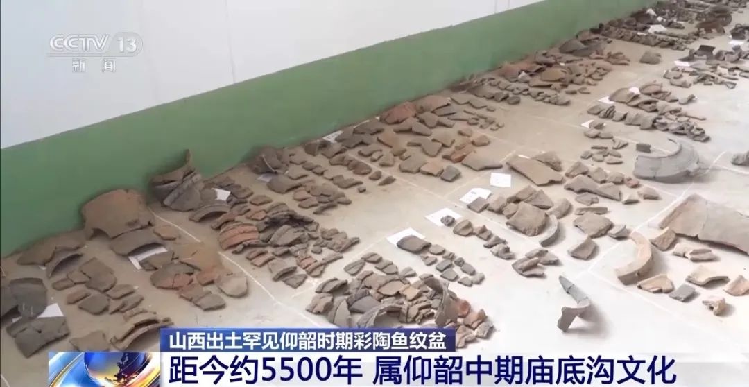 5500年前罕见彩陶鱼纹盆出土，揭秘仰韶文化的神秘面纱  第6张