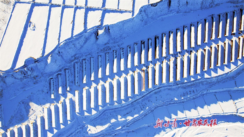 隆冬时节的民乐乡村：温室大棚内百花争艳，乡村振兴新引擎悄然启动  第2张