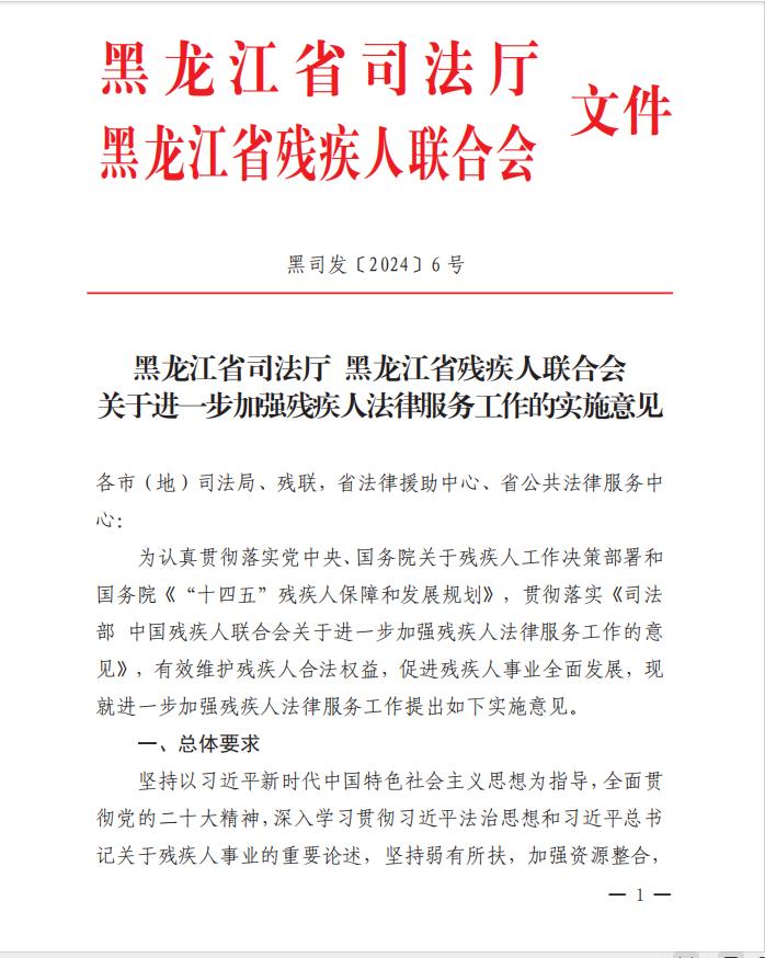 黑龙江残疾人服务大升级：43天变9天，11次变1次，15份材料搞定  第6张
