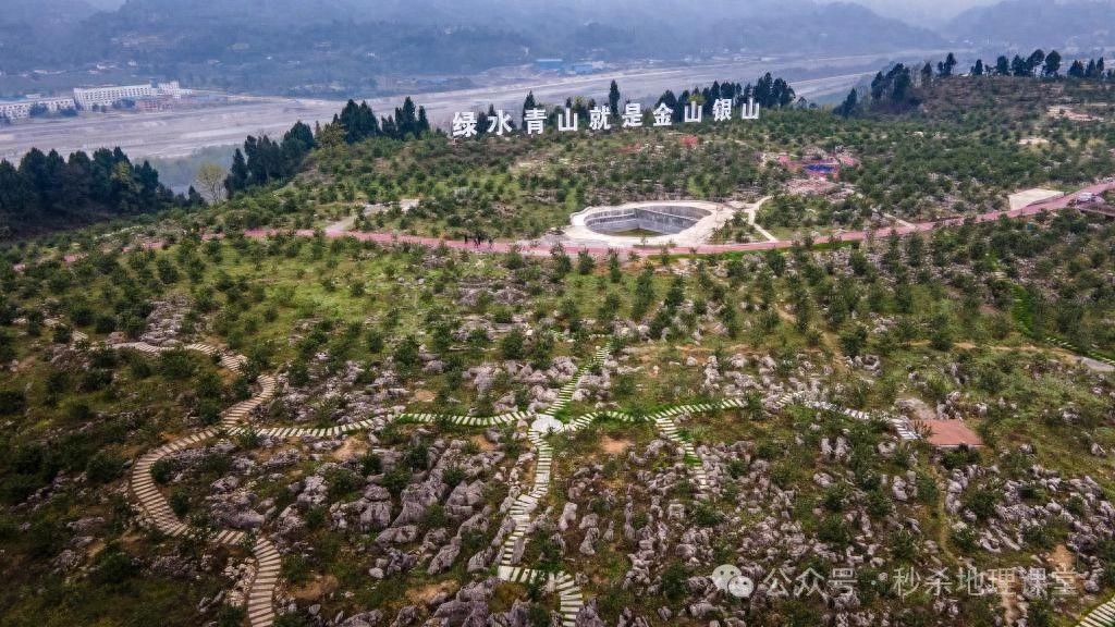 乐山市沙湾区如何利用喀斯特地貌打造绿色奇迹？2.8万亩荒山变宝地