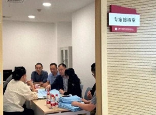 揭秘嘉定区审批审查中心如何通过专家接待日加速老旧房屋改造审批，解决企业痛点  第1张