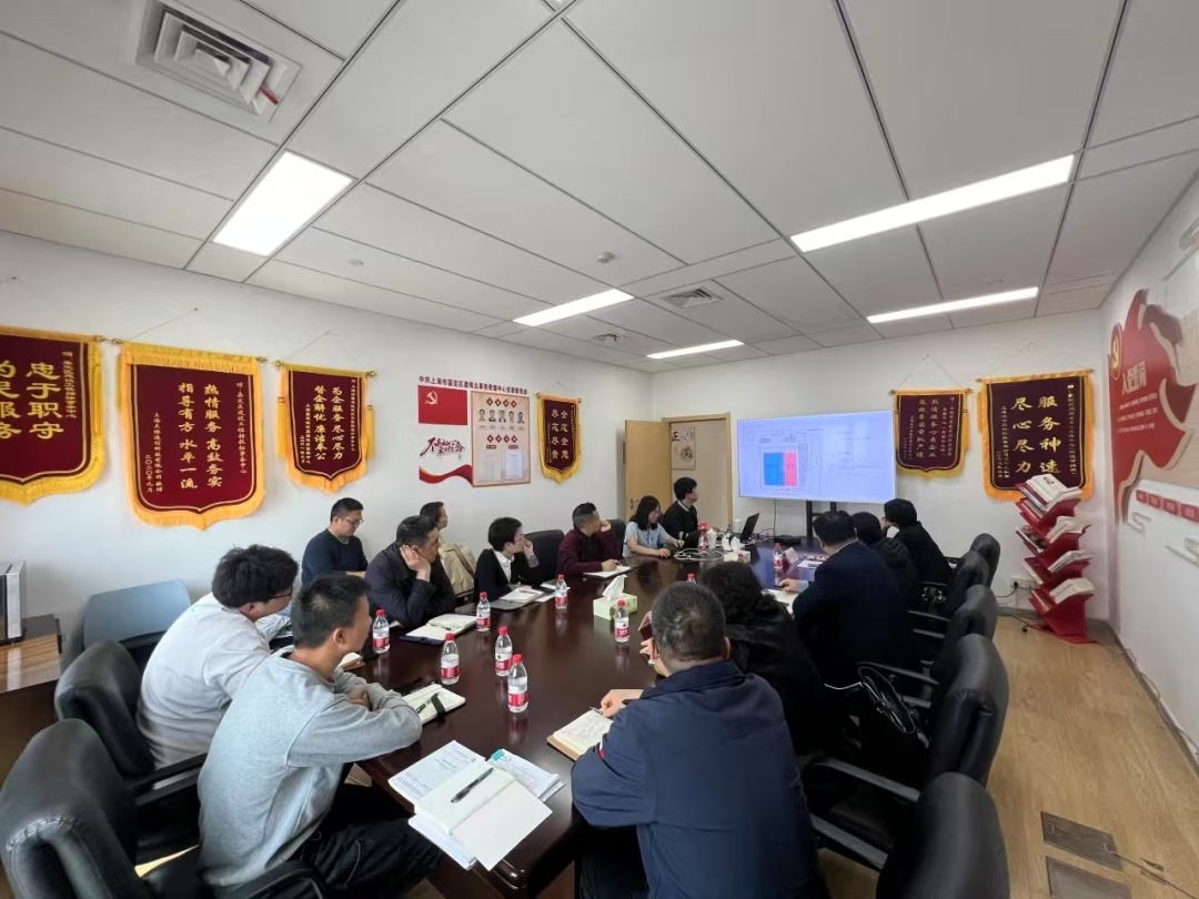 揭秘嘉定区审批审查中心如何通过专家接待日加速老旧房屋改造审批，解决企业痛点  第2张
