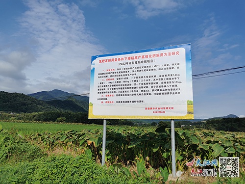 揭秘景德镇水稻增产黑科技：精准施肥让产量飙升，农民收入翻倍  第2张