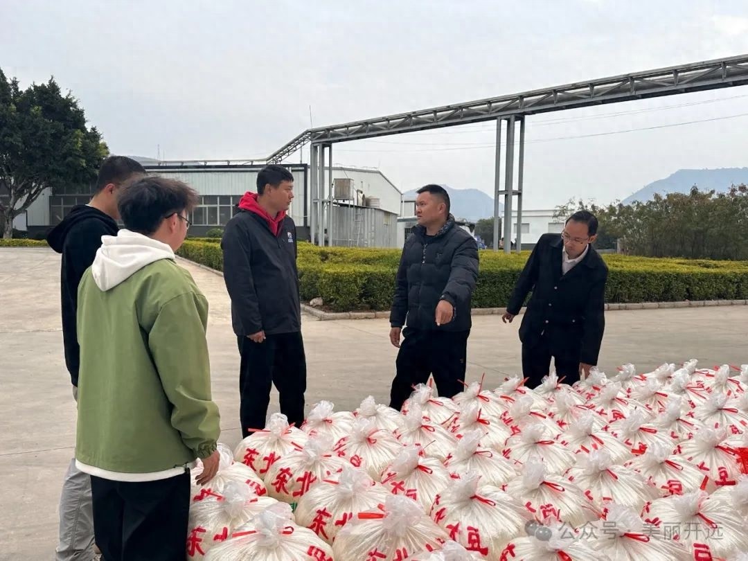 揭秘小龙潭镇333工作法：如何凝聚三大合力，破解基层治理难题？