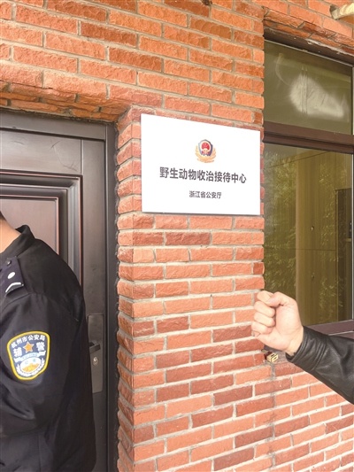 杭州惊现神秘绿光孔雀，竟是国家一级保护动物？揭秘背后的惊人真相  第2张
