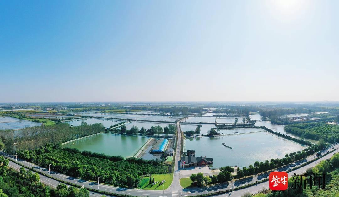 溱湖度假区（溱潼镇）：全力打造新时代乡村振兴溱潼样板，成效惊人  第2张