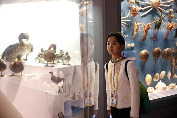 第十七届汉语桥：选手们在国家海洋博物馆探寻海洋奥秘，大开眼界  第4张