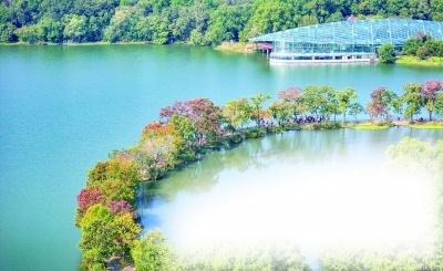 台风潭美来袭！本周末南京将迎风雨天气，你准备好了吗？  第1张