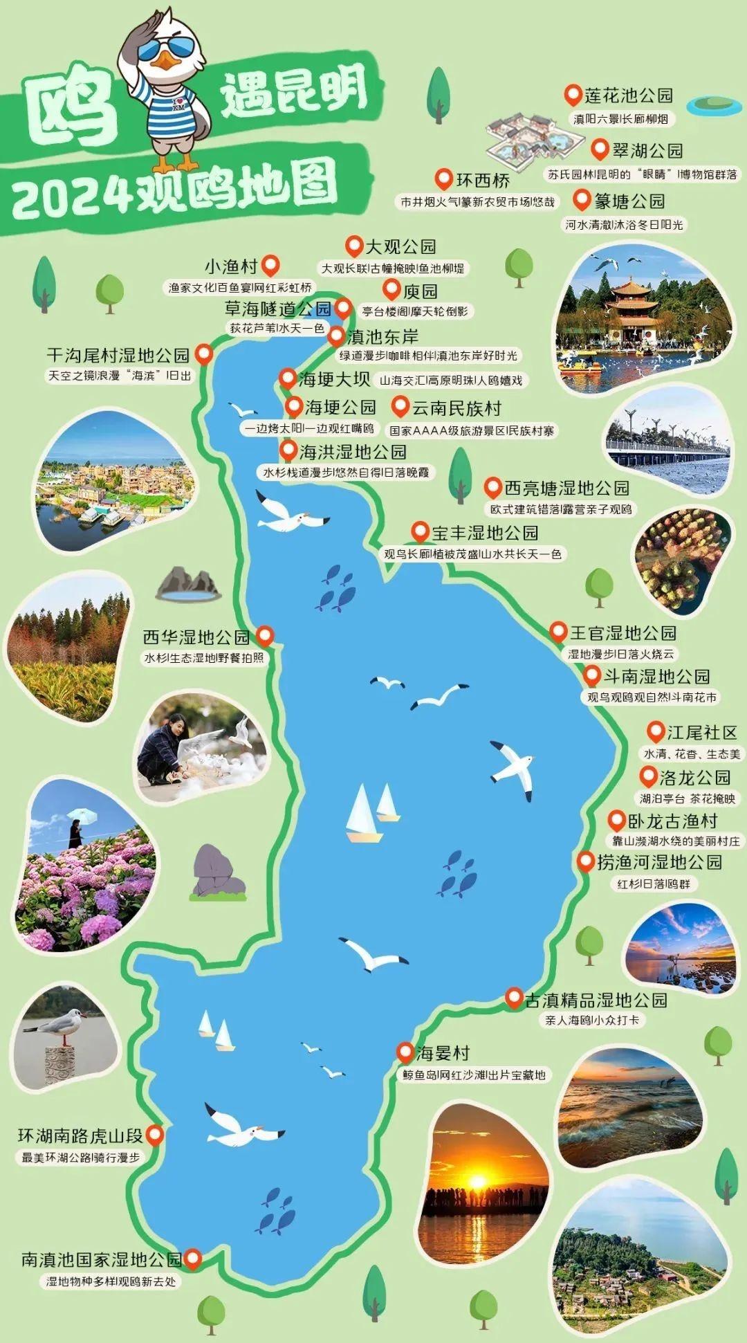 车辆停路口一动不动，辅警发现异常，接下来发生的事让人……  第5张