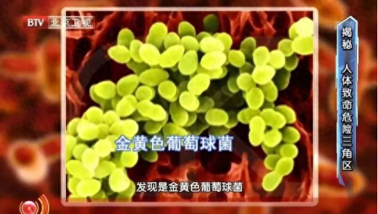 食物掉地上，5 秒内捡起来还能吃？真相可能颠覆你的认知  第1张
