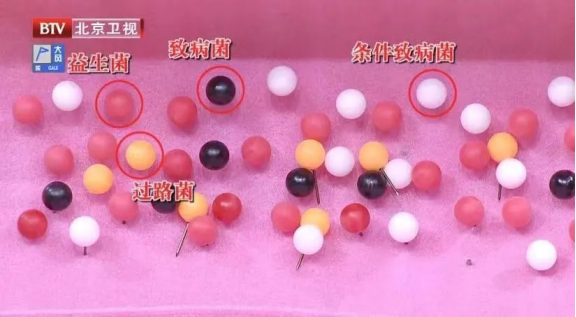 食物掉地上，5 秒内捡起来还能吃？真相可能颠覆你的认知  第3张