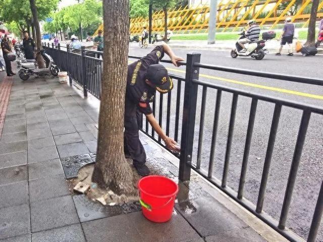 曾经脏乱差的凤冈路，如今竟变得如此美丽  第1张