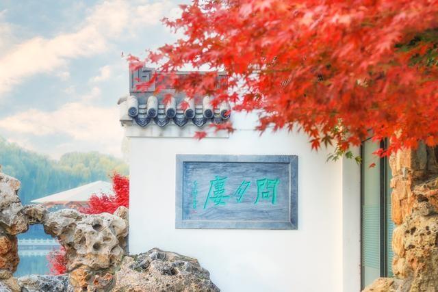 错过再等一年！秋日限定，北京这几处神树美爆了  第10张