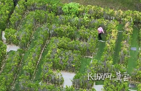 江山永固国泰民安，固安大湖公园成生态休闲新地标  第2张