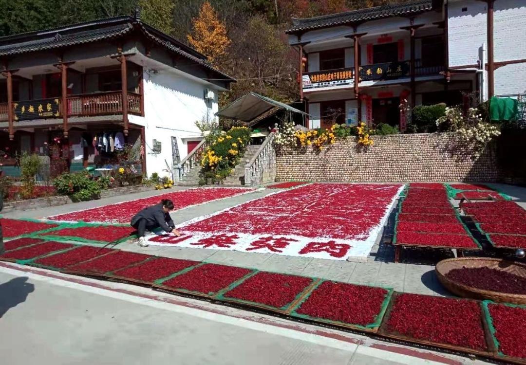 10 多万亩山茱萸红遍佛坪，你知道它背后的故事吗？  第3张