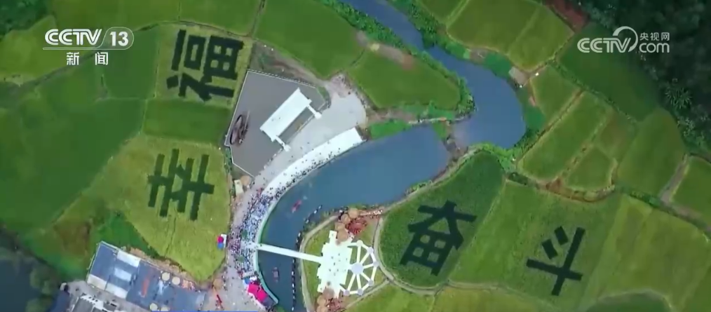 粮食产量预计将首次突破 1.4 万亿斤！我国农业农村发展稳中向好  第4张