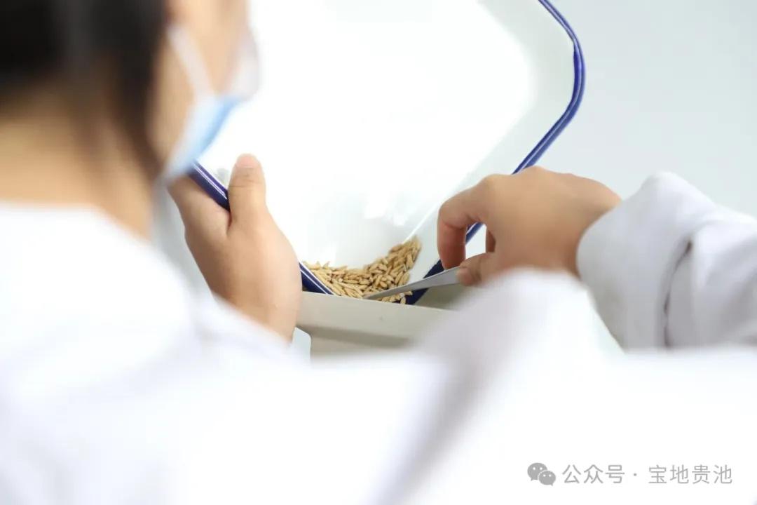 2000 亩！种粮大户王文龙的致富经，你也能学会  第2张