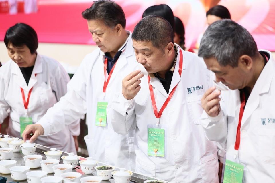 2732 个茶样！第五届正岩杯茶王赛，谁将问鼎茶王？  第3张
