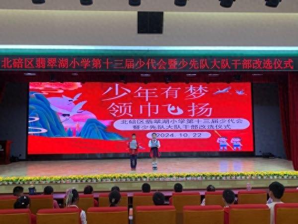 重庆一小学举行少先队主题代表大会，大队部换届选举火热开展  第1张