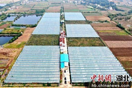 绿色种养循环项目：破解养殖污染与环境保护矛盾的新希望