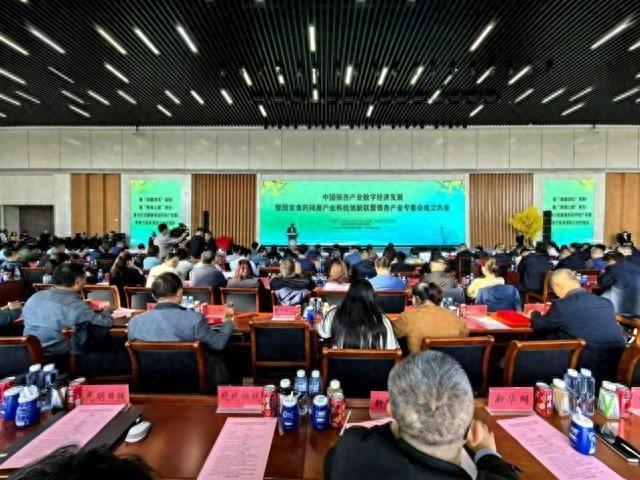中国银杏产业数字经济发展大会在泰兴召开，科技创新助力银杏产业腾飞  第1张