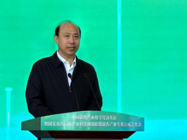 中国银杏产业数字经济发展大会在泰兴召开，科技创新助力银杏产业腾飞  第3张