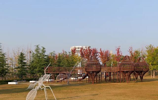 周末去郑州蝶湖森林公园，找寻秋日童话  第13张