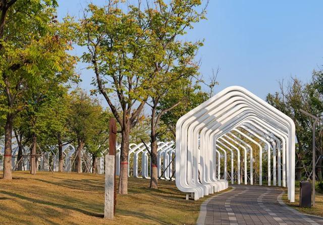 周末去郑州蝶湖森林公园，找寻秋日童话  第3张
