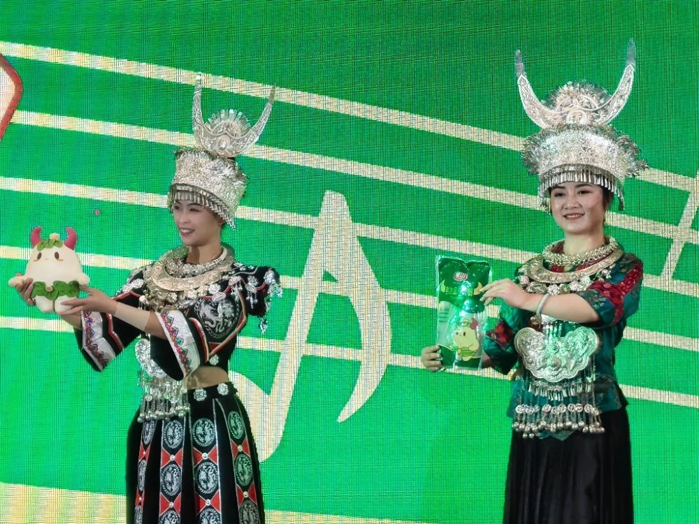 彭水晶丝苕粉惊艳亮相，苗乡非遗传承，重庆火锅必备  第2张