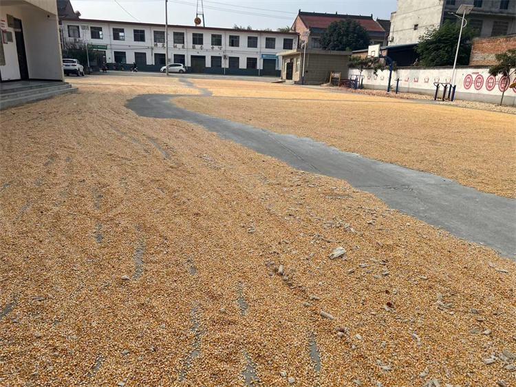 霜降寒天，他们却在街头巷尾为网络畅通奔波，你知道吗？  第3张