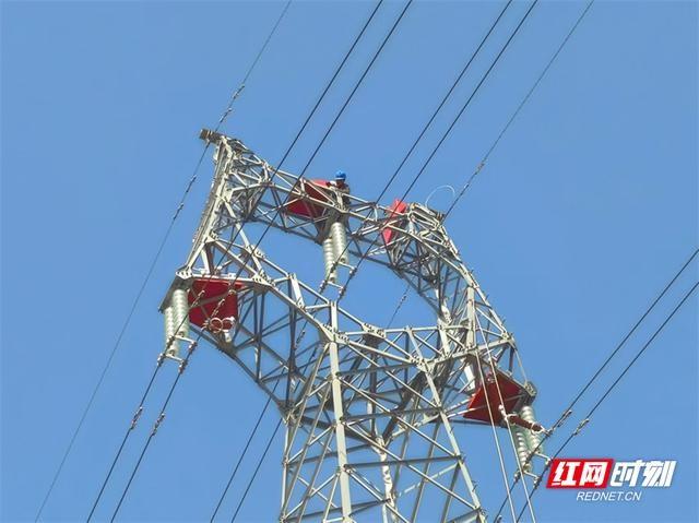工作人员安装防鸟罩，110 千伏漳佘线检修工作圆满结束