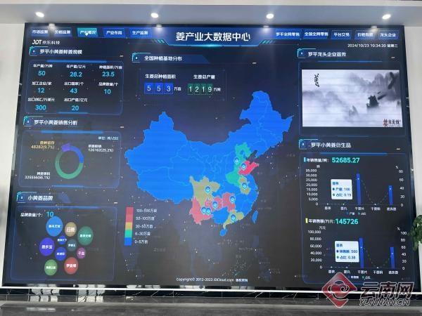 云南唯一生姜地理标志品牌！罗平小黄姜数字经济产业园开园啦  第2张
