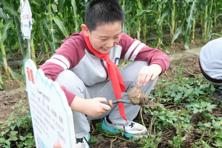 金秋校园刮起秋收风，孩子们都收获了啥？  第12张