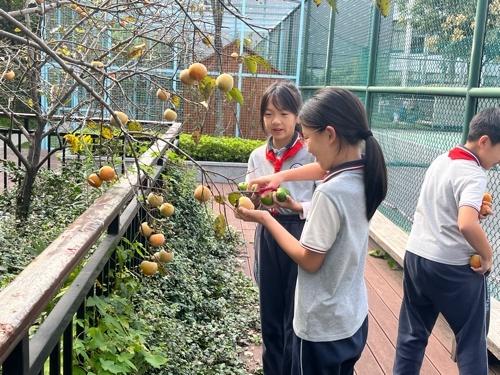 金秋校园刮起秋收风，孩子们都收获了啥？  第8张