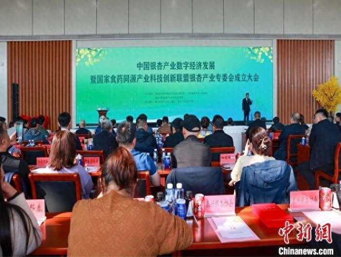 泰兴银杏产业大爆发！国家食药同源产业科技创新联盟助力，未来可期  第1张